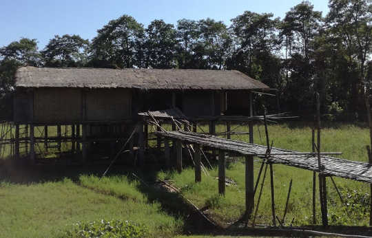 Cultural heritage has a lot to teach us about climate change: Image of an example of a stilted building constructed using local materials on Majuli Island, Assam.