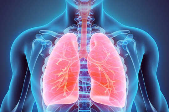 How Your Lungs Are Really Amazing
