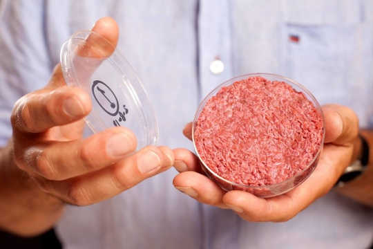 Is Cultured Meat Better Than Animal Agriculture?