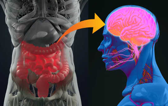 How Your Gut Microbiome May Be Linked To Dementia, Parkinson's Disease and MS