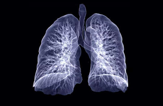a picture, in black and white, of a pair of lungs