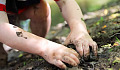 hands working in the soil