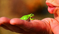 The Secret of a Great Marriage: From a Frog to a Prince?